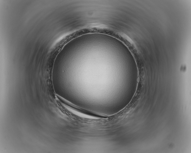 X0000091641112200709060931