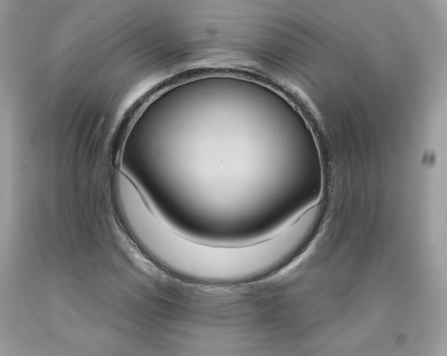 X0000091641114200709060931