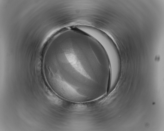 X0000091641115200709060931