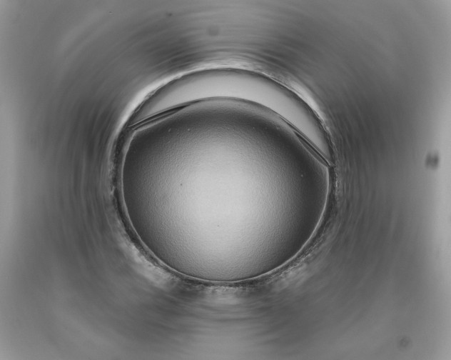 X0000091641116200709060931