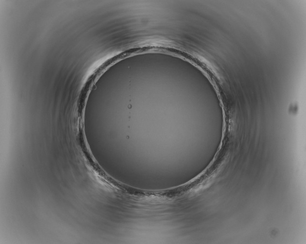 X0000091641117200709060932