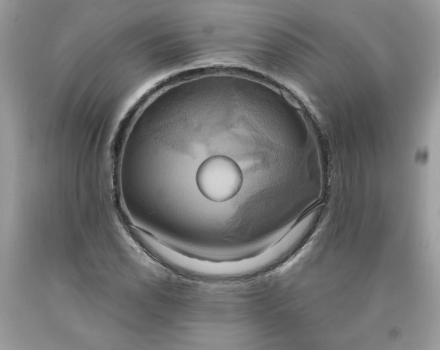 X0000091641118200709060932