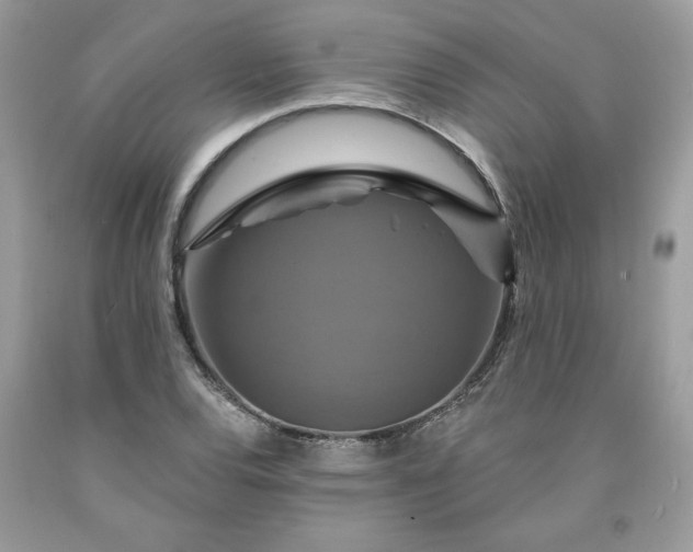 X0000091641120200709060932
