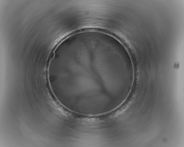 X0000091641121200709060932