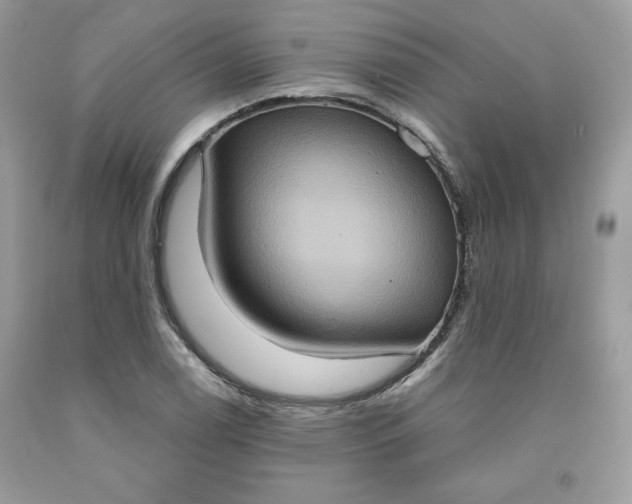 X0000091641122200709060932