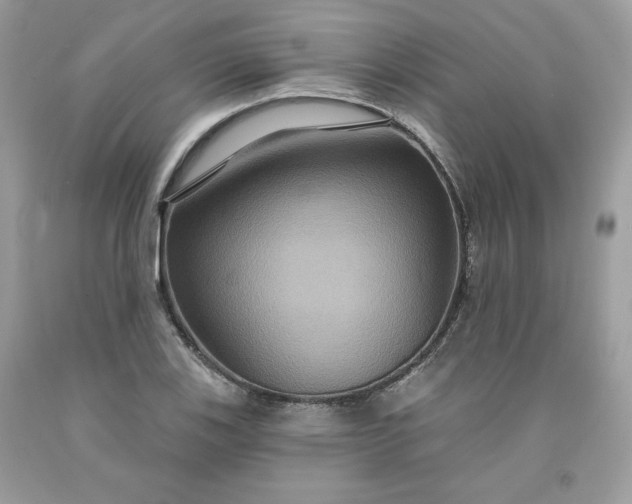X0000091641123200709060932