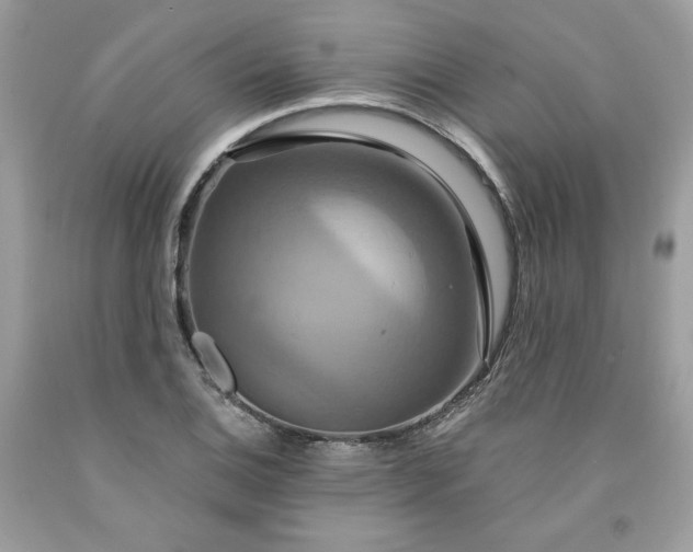 X0000091641124200709060932