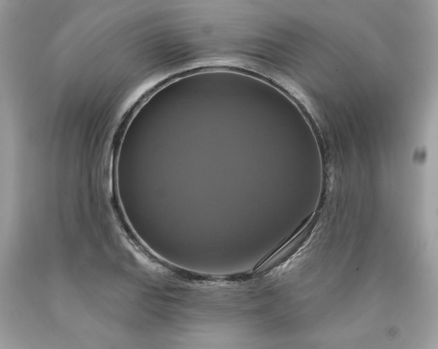 X0000091641127200709060932