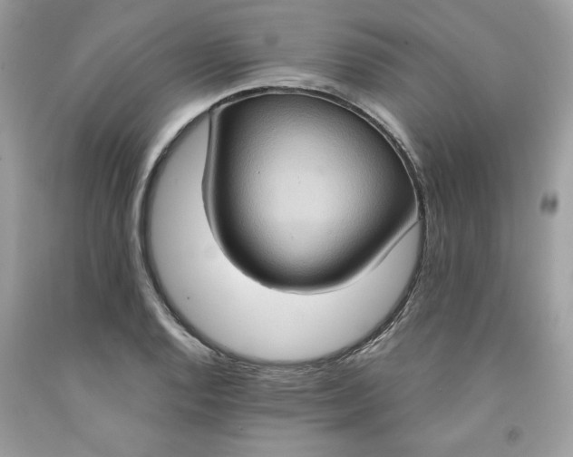 X0000091641128200709060932