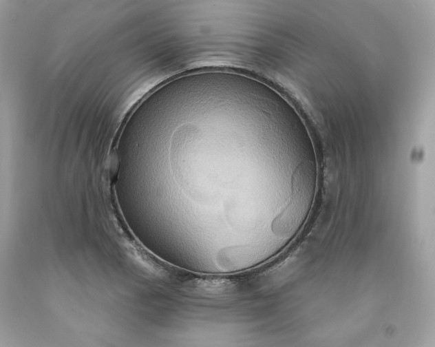 X0000091641129200709060932