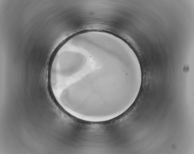 X0000091641130200709060932