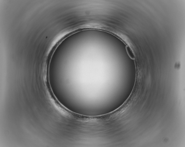 X0000091641131200709060932