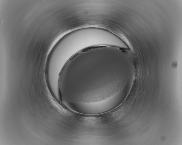 X0000091641132200709060932