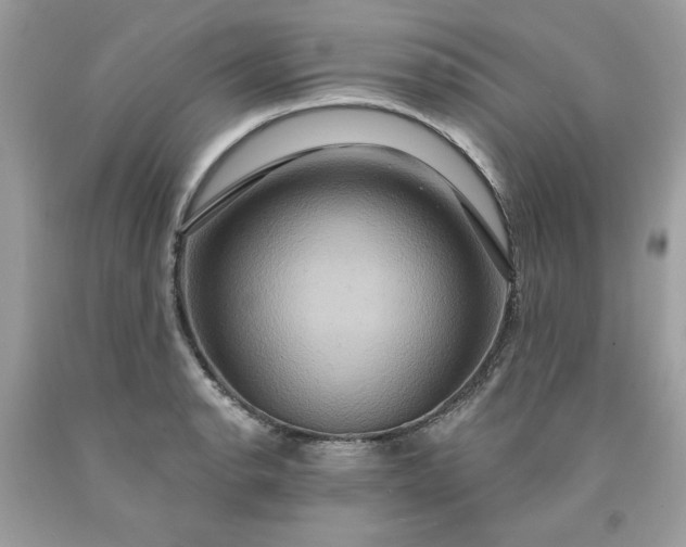 X0000091641134200709060932