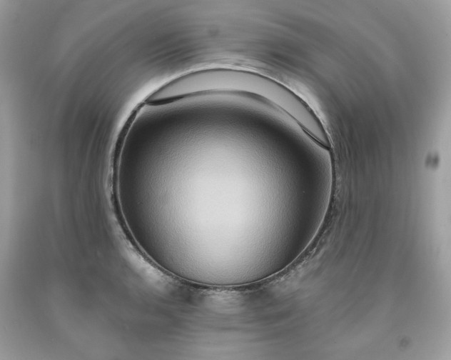 X0000091641136200709060932