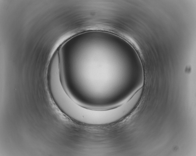 X0000091641138200709060932