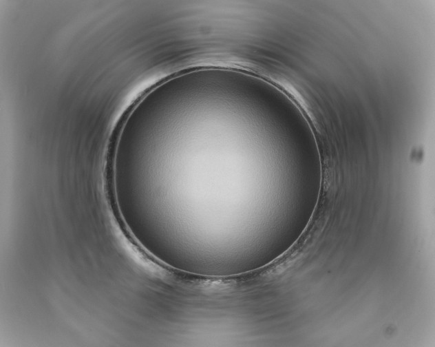 X0000091641139200709060932