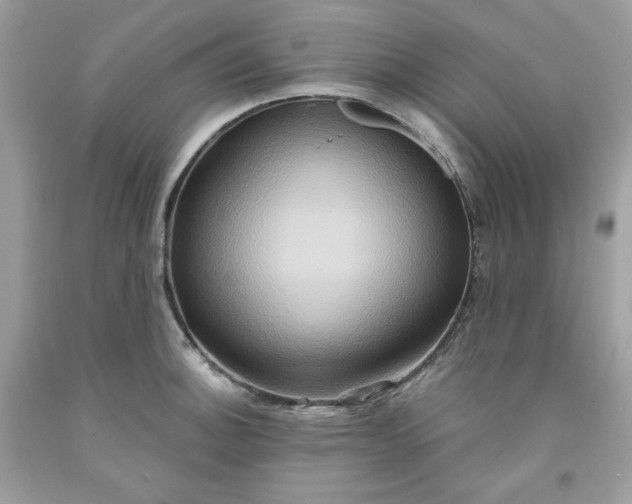 X0000091641140200709060932