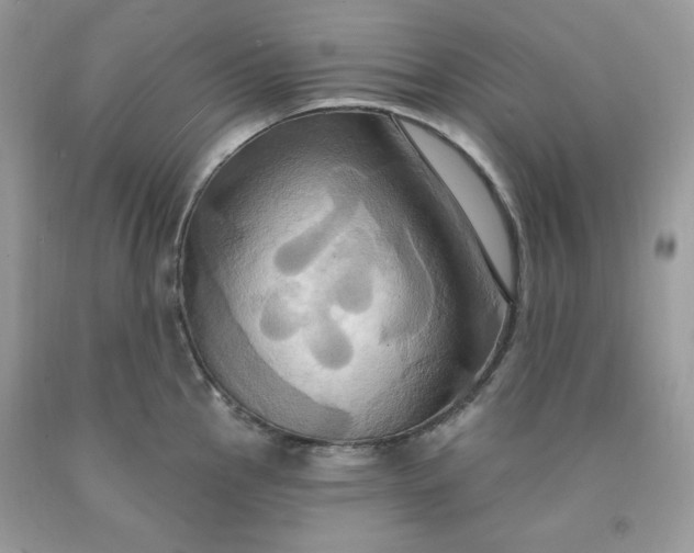 X0000091641145200709060932