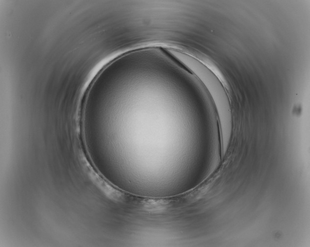 X0000091641148200709060932