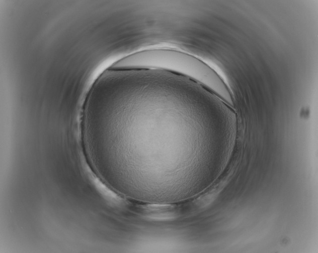 X0000091641151200709060932