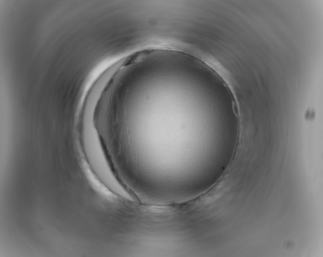 X0000091641152200709060932