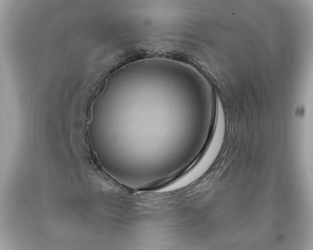 X0000091641153200709060931