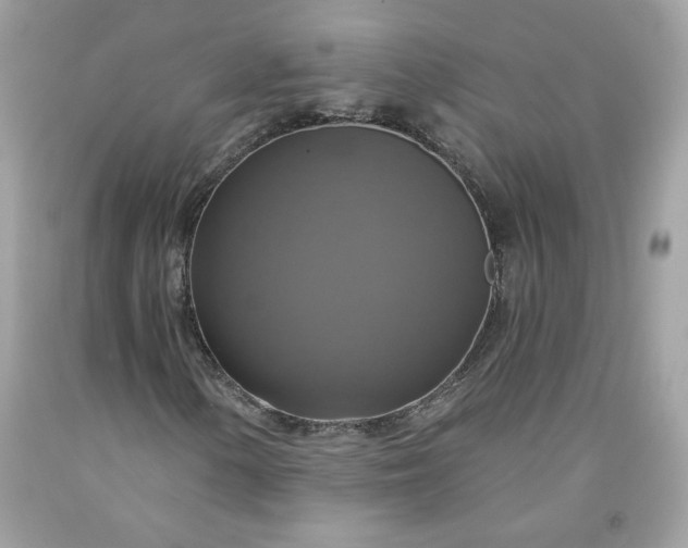 X0000091641154200709060931