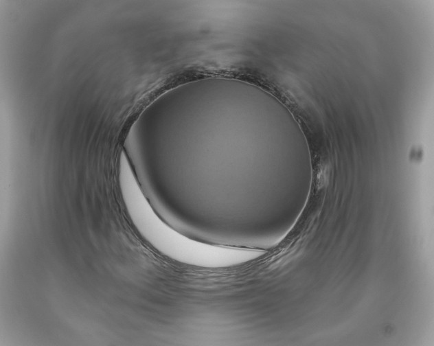 X0000091641156200709060931