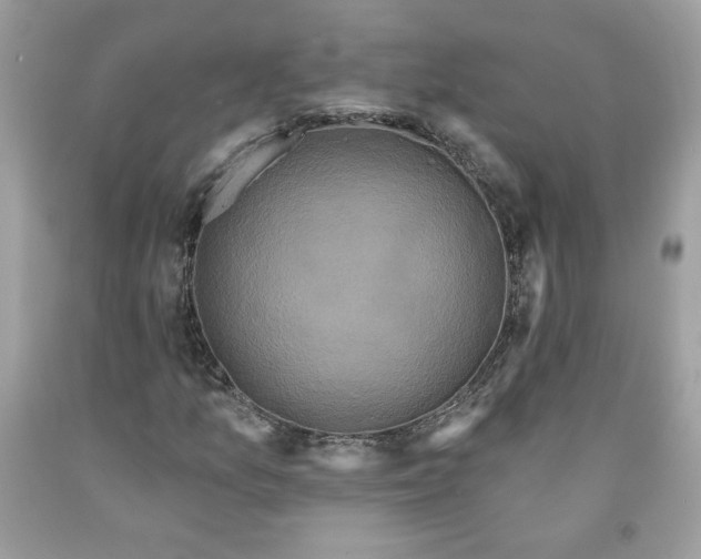 X0000091641157200709060931