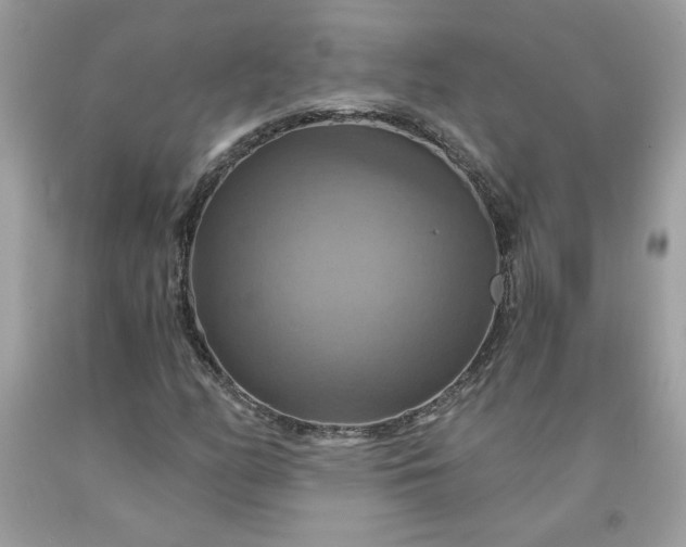 X0000091641158200709060931