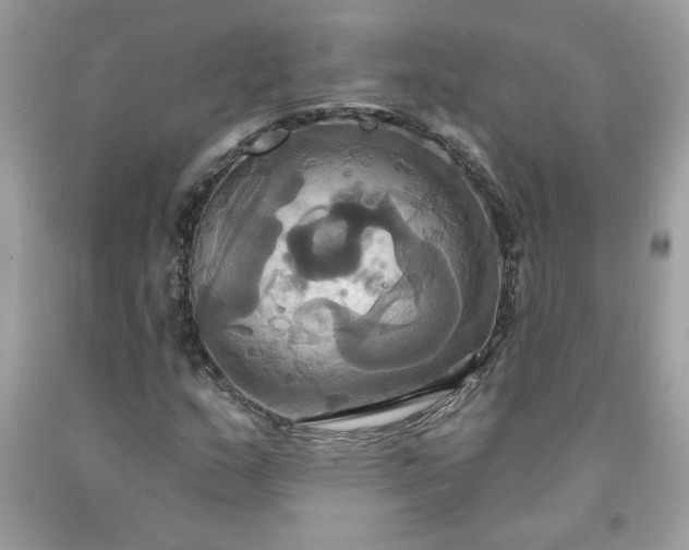 X0000091641159200709060931