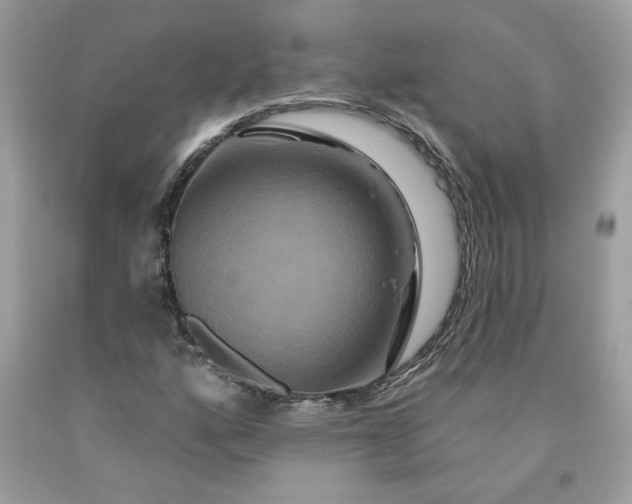 X0000091641160200709060931