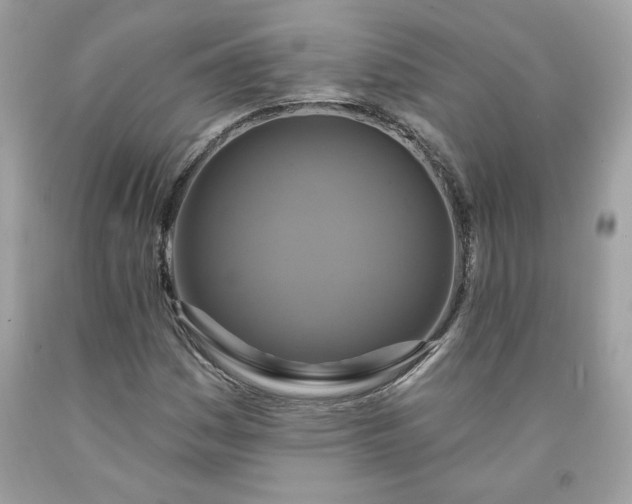 X0000091641161200709060931