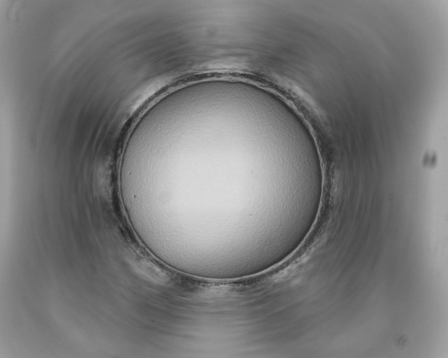 X0000091641162200709060931