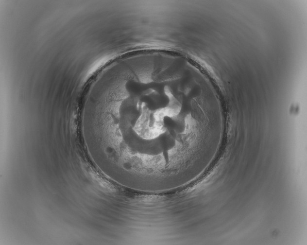 X0000091641163200709060931