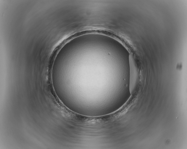 X0000091641165200709060931