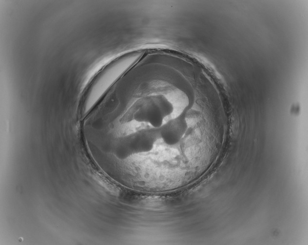 X0000091641167200709060931