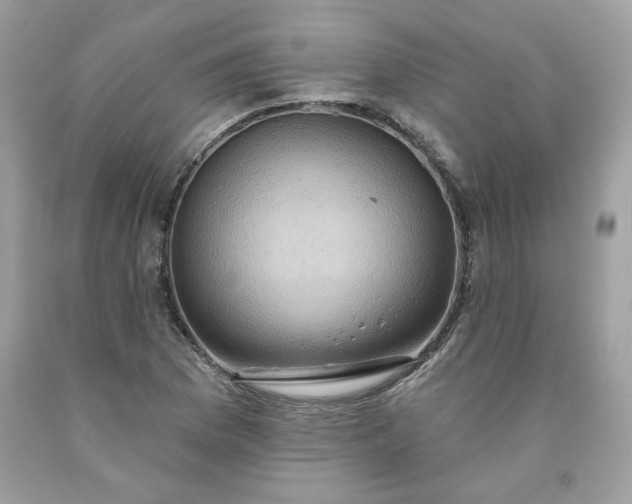 X0000091641169200709060931