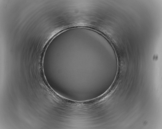 X0000091641170200709060931