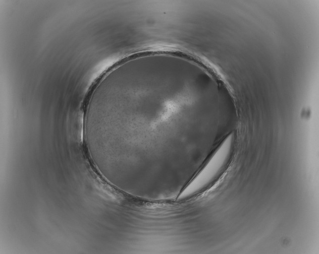 X0000091641171200709060931