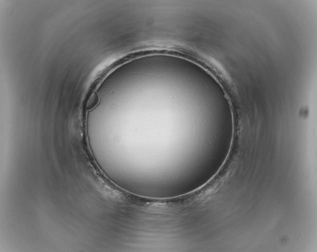 X0000091641172200709060931