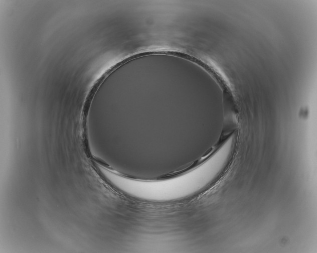 X0000091641173200709060931