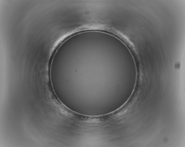 X0000091641174200709060931