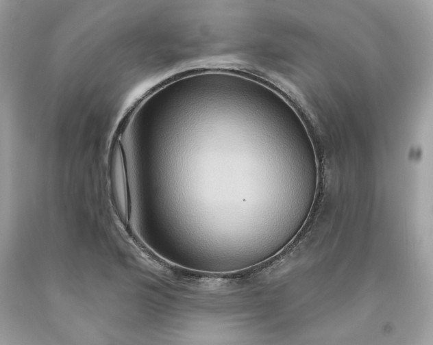 X0000091641176200709060931