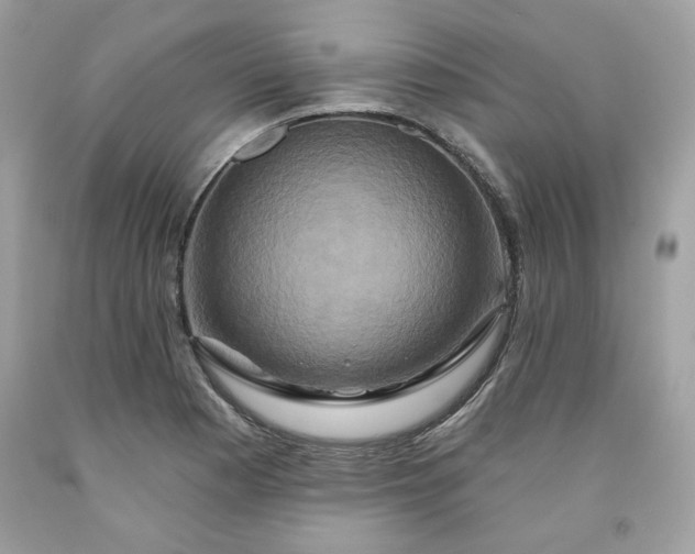 X0000091641177200709060931