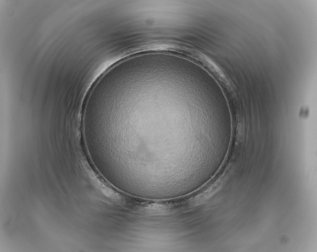 X0000091641178200709060931