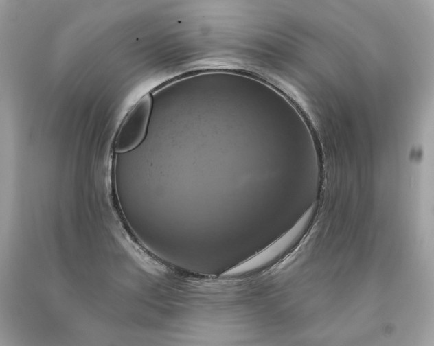 X0000091641179200709060931