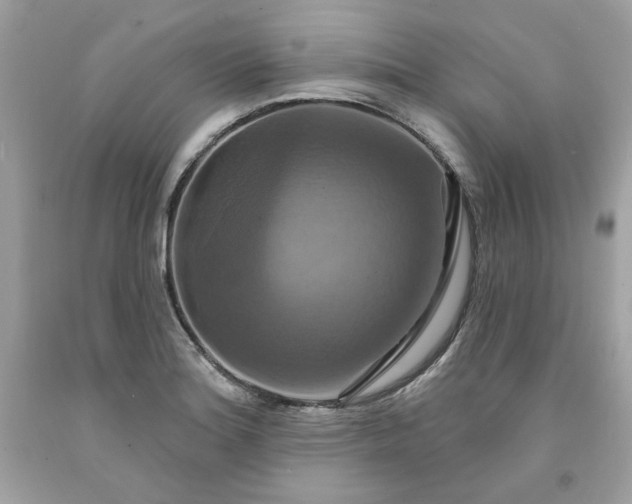 X0000091641180200709060931