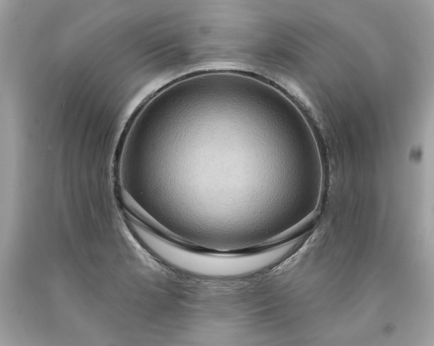 X0000091641181200709060931